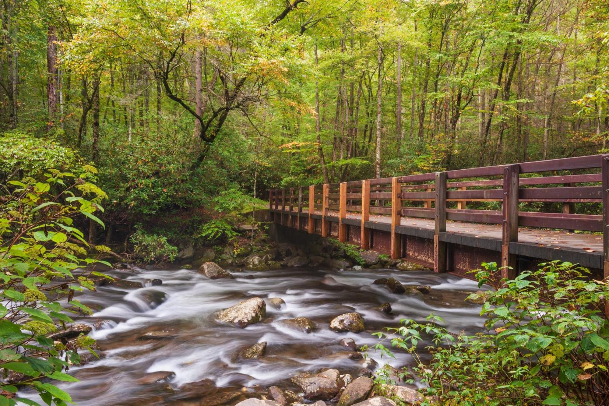 Smoky Mountain Gem Villa Gatlinburg Eksteriør bilde